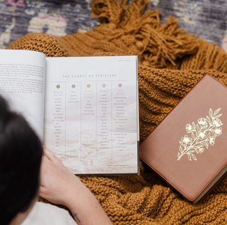 The Bible Handbook: A Book-By-Book Guide To the Entire Bible