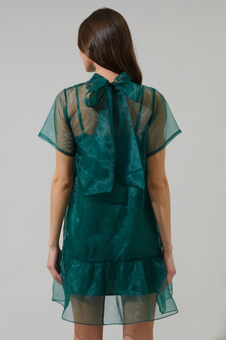 Berny Organza Mock Neck Dress