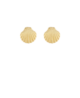 Seashell Earrings - Gold