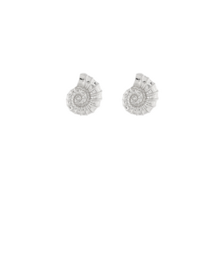 Ammonite Shell Earrings - Silver