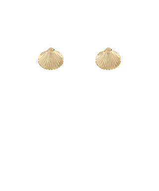 Shell Shaped Stud Earrings
