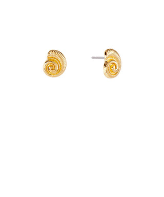 Textured Ammonite Stud Earrings