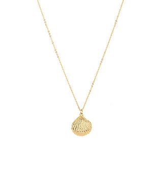 Sealife Shell Pendant