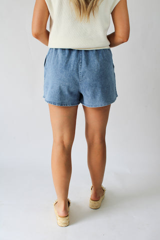 Long Vacay Chambray Shorts