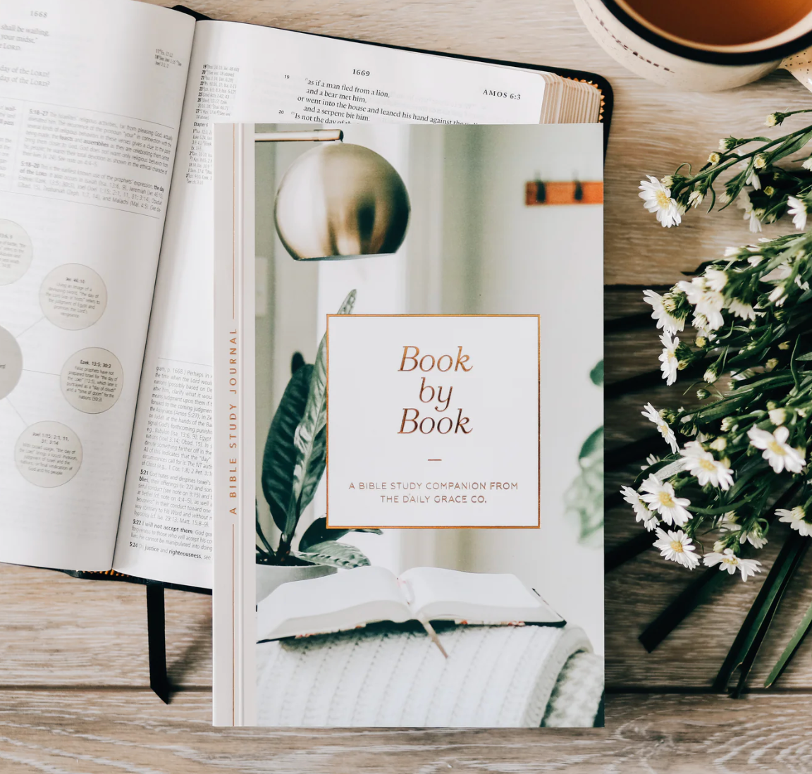 Book by Book | A Bible Study Companion