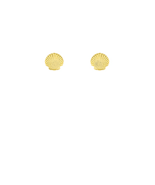 Dainty Seashell Studs