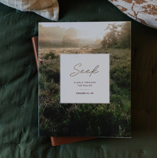 Seek | 6 Week Bible Study | A Walk Through Psalms 61-90