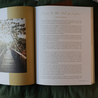 Seek | 6 Week Bible Study | A Walk Through Psalms 61-90