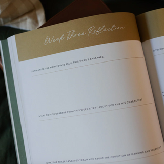 Seek | 6 Week Bible Study | A Walk Through Psalms 61-90