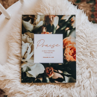 Praise Bible Study | Psalms 91-120