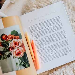 Praise Bible Study | Psalms 91-120