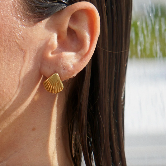 Libby Shell Earrings - Gold