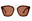 Tortoise / Brown