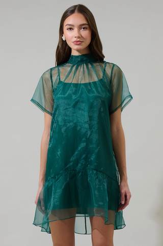 Berny Organza Mock Neck Dress