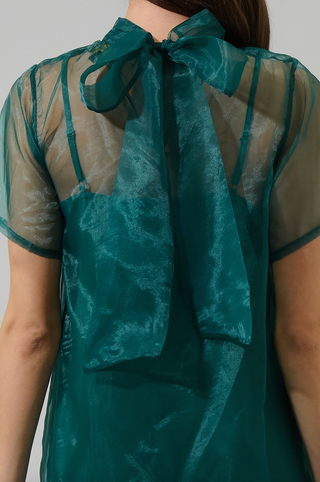 Berny Organza Mock Neck Dress
