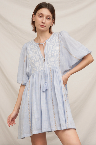 Floral Embroidered Mini Dress