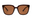 Tortoise / Brown
