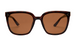 Tortoise / Brown