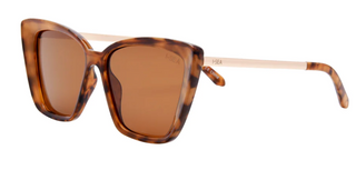 Aloha Fox Sunnies