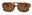 Yellow Tort / Brown